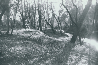 Dry Creek west of present day Riverside Avenue